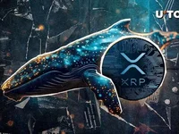 Gigantic XRP Whale Birthed With 104 Million XRP Shift - time, xrp, whale