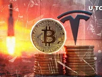 Here's How Much Bitcoin (BTC) Elon Musk's Tesla and SpaceX Currently HODLs - musk, btc