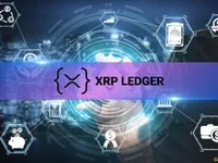 Here’s How XRP Ledger Has Performed On-Chain Over the Past Month - xrp, dex, chain, nft