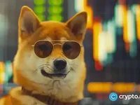 Here’s why the Baby Doge Coin pumped to March highs - doge, baby, coin, baby doge coin