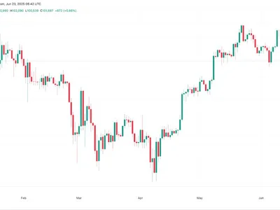  How low can the Bitcoin price go?  - six, may, Crypto, donald trump, Cointelegraph, bitcoin