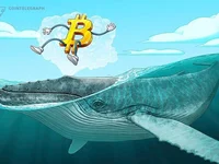 How much Bitcoin does the average whale hold? - btc, hold, whale, bitcoin