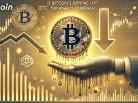 Is Bitcoin (BTC) Demand Drying Up? Top Analyst Shares Details - btc, bitcoin