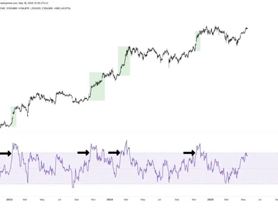 Is Bitcoin Bull Run Back? Daily RSI Shows Only Mild Bullish Momentum - NewsBTC, btc, bitcoin, Crypto