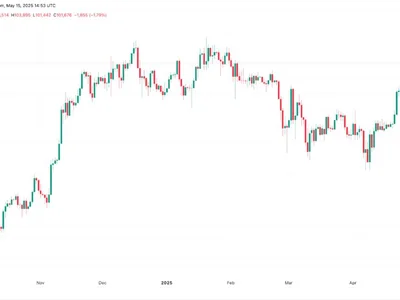 Is Bitcoin price going to crash again? - Cointelegraph, Crypto, utxo, bitcoin