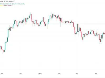 Is Bitcoin price going to crash again? - etf, Crypto, Cointelegraph, btc, bitcoin, bull, high