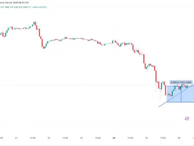 Is Bitcoin price going to crash again? - Cointelegraph, Crypto, btc, bitcoin