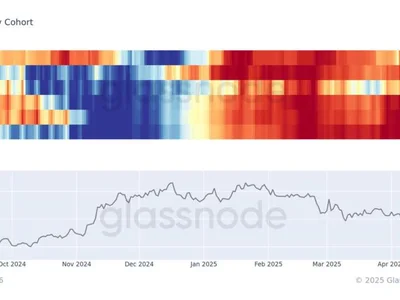 Is Bitcoin’s Bull Run Nearing a Breaking Point? What On-Chain Data Reveals - Beincrypto, bitcoin, may, fomo, Crypto, btc, trump