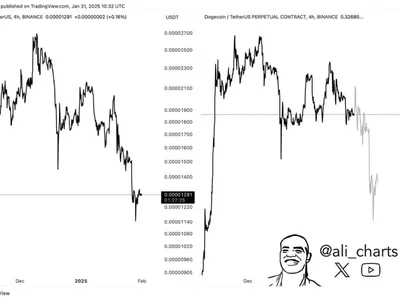 Is Dogecoin Mirroring Pepe? A Drop To $0.2 Could Be Imminent For DOGE - doge, donald trump, NewsBTC, dogecoin, trump, meme, pepe, Crypto, drop