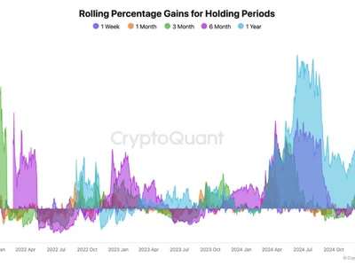 Is Toncoin Building a Foundation for a Long-Term Comeback? Analyst Weighs In - NewsBTC, long, toncoin, term, ton, 2024, Crypto