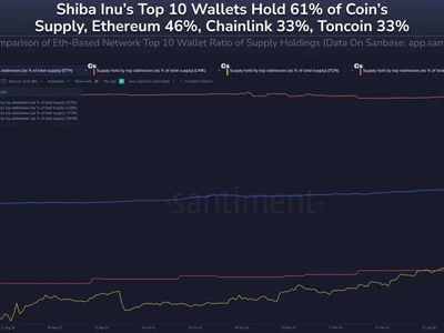 Just 10 Holders Control 61.3% Of Shiba Inu Supply: How This Compares With Other Altcoins - shiba inu, Crypto, eth, NewsBTC, shib, ten, toncoin, one, second, chainlink, inu, four, shiba