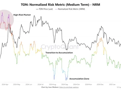 Key Metrics Indicate Toncoin Accumulation Continues Despite Price Struggle - ton, chart, term, Crypto, NewsBTC, long, toncoin