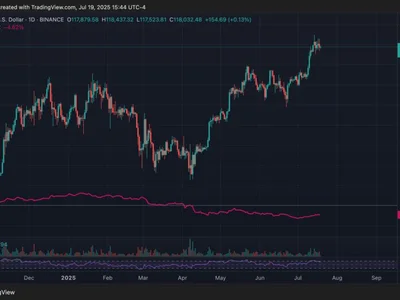 Macro drivers will dampen Bitcoin’s halving cycle — Tim Draper - trump, btc, Crypto, bitcoin, vc, Cointelegraph