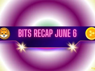 Major Shiba Inu Warning, Ripple’s Latest Achievement, and More: Bits Recap June 6 - Crypto, ada, xrp, x, CryptoPotato, lucky, cardano