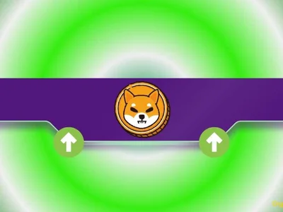 Massive Shiba Inu (SHIB) Announcement - CryptoPotato, shib, inu, shiba, Crypto, coin