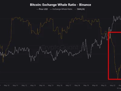 Massive Whale Activity Detected on Binance as Bitcoin Tests New Highs - bitcoin, chart, NewsBTC, delta, Crypto, whale