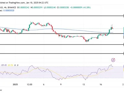 Meme Coin BONK Faces Price Correction: Can Bulls Regain Control? - bonk, NewsBTC, Crypto, coin