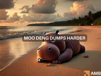 Moo Deng coin crashes 60% in a week – What triggered the sell-off? - moo