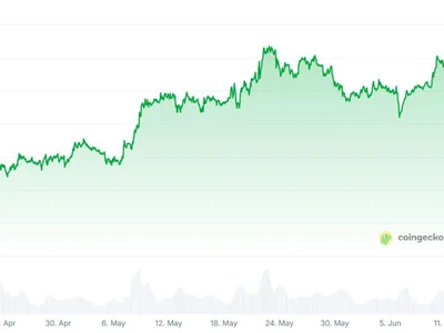 New Bitcoin treasuries may crack under price pressure - 2024, btc, Crypto, Cointelegraph, bitcoin, nav