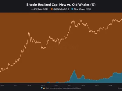 New Bitcoin Whales Now Hold Majority of BTC Capital | Weekly Whale Watch - new, Beincrypto, whale, bitcoin, whales, Crypto