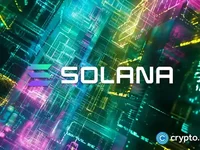 New Solana memecoin expected to surge 18,000% - bonk, wif, solana, term