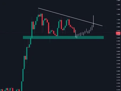 ‘No Need To Panic’: Cardano (ADA) Holding Key Level Despite 14% Drop - NewsBTC, ada, bitcoin, 2024, Crypto, cardano