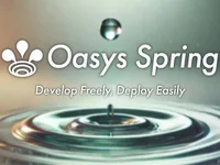 Oasys Launches Beta Version of Oasys Spring in Collaboration with Bunzz - oasys, spring