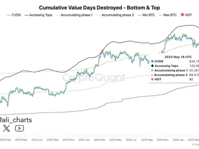 On-Chain Data Tips Bitcoin To Peak At $120,000 – But On This Condition - NewsBTC, bitcoin, Crypto, second