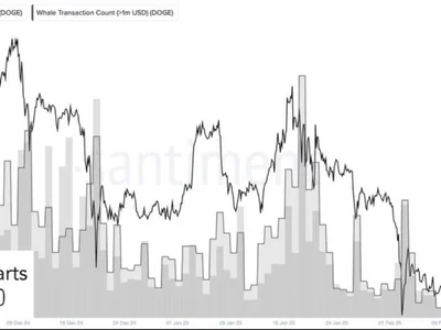 Panic Or Opportunity? Dogecoin Whales Liquidate 100 Million Coins - etf, doge, whale, NewsBTC, dogecoin, Crypto