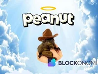 Peanut (PNUT) Price Surges 3,900% in 30 Days Following Binance Listing and Musk Tweet - peanut, solana, pnut