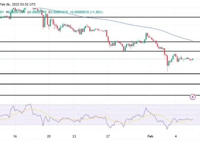 PEPE Struggles Against Strong Resistance, Bearish Pressure Intensify - NewsBTC, pepe, level, Crypto