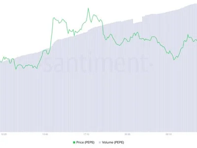 PEPE’s Rally Hits a Roadblock as Musk Effect Diminishes - musk, Crypto, pepe, meme, Beincrypto, coin