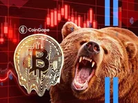 Peter Brandt Predicts BTC Price Dip To $46K; Why Is Bitcoin Falling Today? - btc, dip, bitcoin