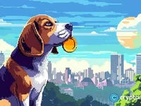 PlayDoge ICO enters final 5 days; set to become the next big memecoin - set