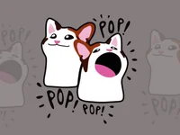 POPCAT Leads The Crypto Top Gainer List, Beats All Competitors - wif, meme, popcat