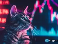 Popcat leads weekly gains with a 35% surge, open interest up 344% - gains, popcat, rose