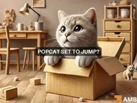 POPCAT sparks THIS bullish sign – 22% rally next? - popcat, level