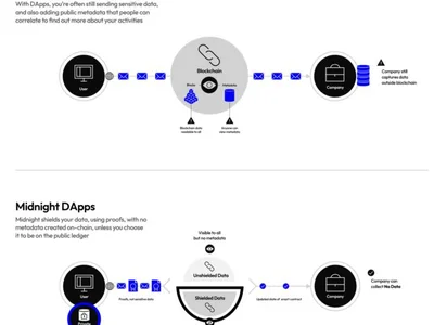 Privacy isn't a luxury in crypto; it's a necessity — Midnight CEO - ey, ai, Crypto, midnight, cardano, Cointelegraph, dop, data