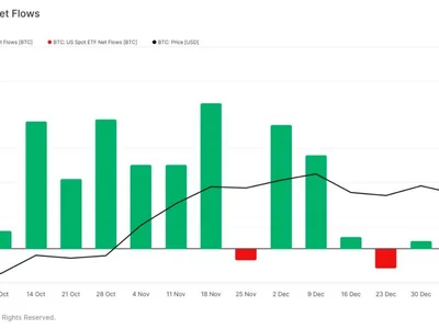 Rebound Alert: US Bitcoin ETF Interest Picks Up Speed In 2025 - btc, bitcoin, ibit, Crypto, NewsBTC, 2024