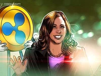 Ripple co-founder signs letter endorsing Harris for president - 2024, white, board