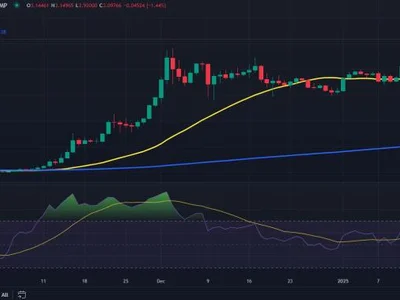 Ripple koers verwachting: XRP pumpt $3 voorbij – hoeveel kan Ripple waard worden onder Trump? - one, meme, best, Crypto, donald trump, solana, xrp, vs, solx, NewsBTC, dag, sec, bitcoin, kan, trump, de