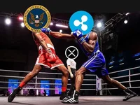 Ripple Vs SEC: Lawyer Calls Out Mistakes In Brad Garlinghouse & Chris Larsen’s Deal - vs, sec