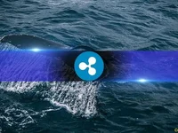 Ripple Whales and Sharks Are Buying as Retail Are Selling: Is That Bullish for XRP? - xrp, sharks, whales