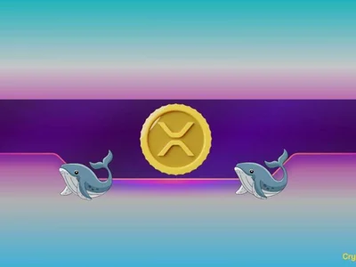 Ripple (XRP) Price Rockets to 2-Month High After Curious Whale Activity - eth, xrp, long, Crypto, CryptoPotato, usdt, time, doge