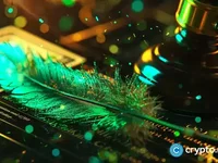 Robinhood’s Dan Gallagher declines potential SEC leadership role - trump, gary, dan, sec