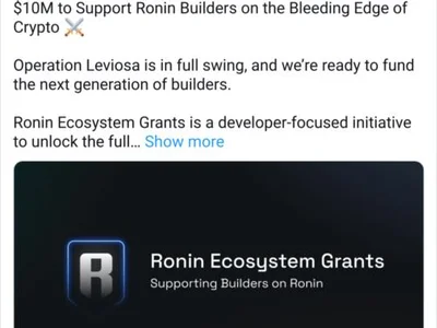 Ronin offers $10M grant program for Web3 developer growth - Cointelegraph, defi, Crypto, ron, ronin