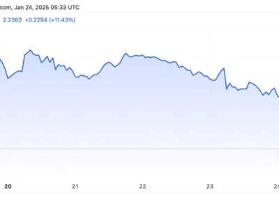 Rune drops 30% as THORChain suspends THORFi operations amid ‘restructuring’ efforts - terra, Crypto, thorchain, rune, 2024, The Block, block, bitcoin