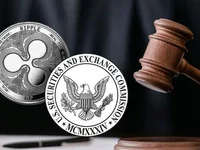 SEC Has 90% Chance of Winning Against Ripple on Appeal, Better Markets CEO Predicts - sec