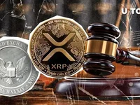 SEC Veteran Pours Cold Water on XRP Community - sec, xrp, water