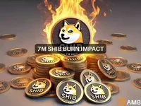 SHIB burn rate surges by 3348% – Will this push Shiba Inu to $0.00002? - burn, shib, shiba, shiba inu